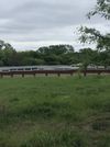 635 S Custer Rd photo